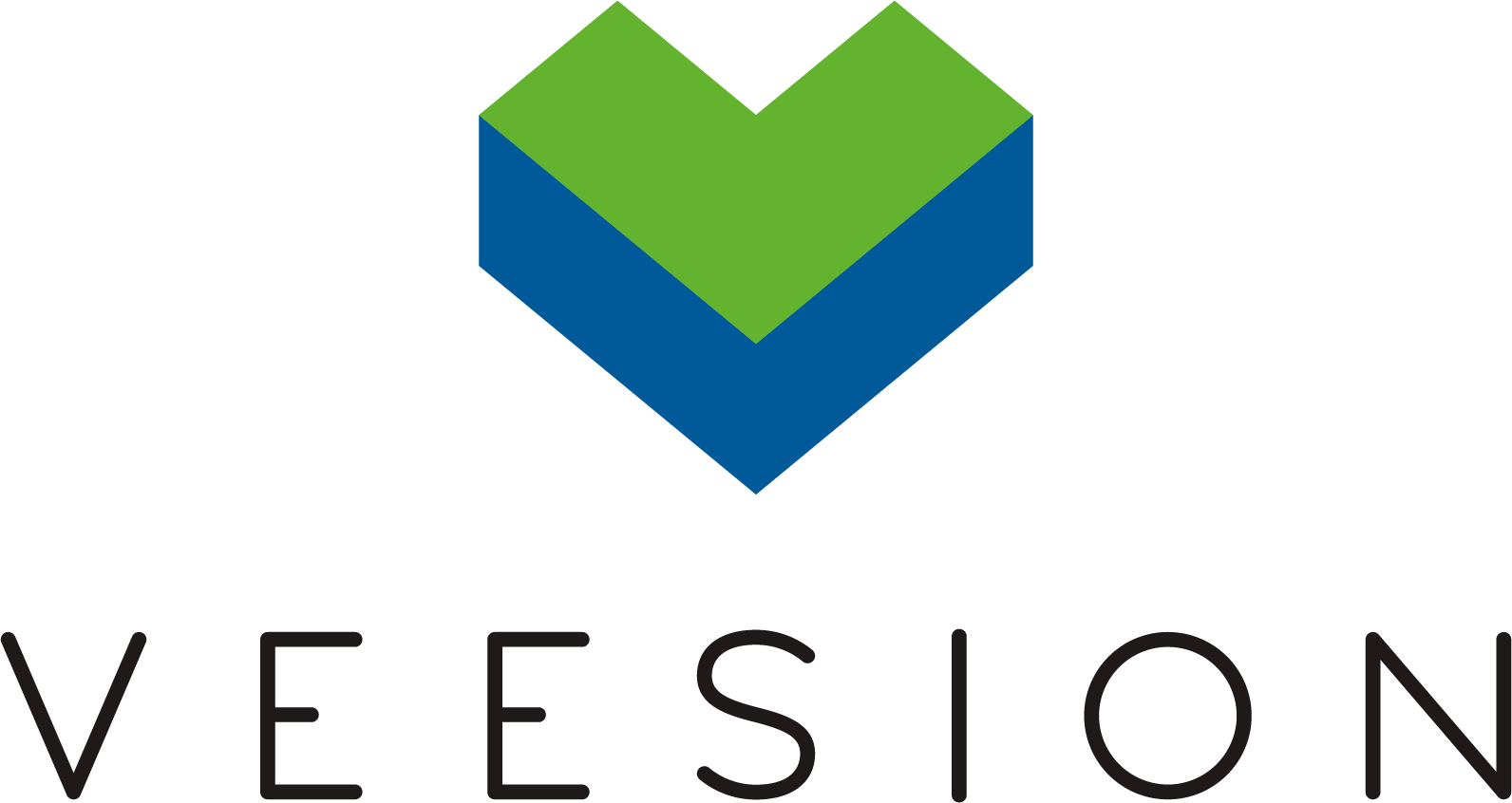 Veesion_Logo